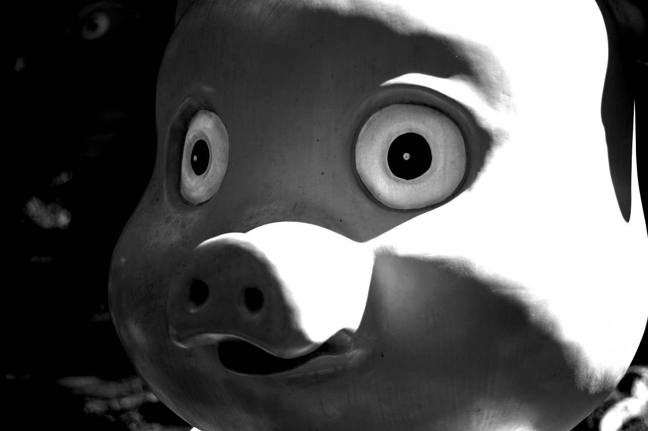 バギオのヤバい豚の像
